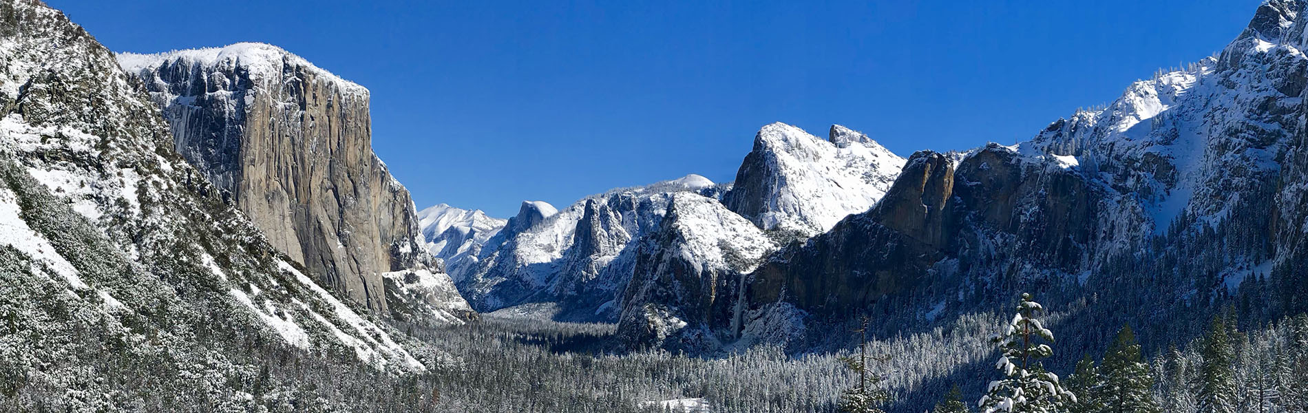 Amazon.co.jp: ヨセミテ国立公園 写真集 100年間 Yosemite the
